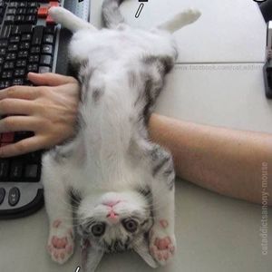 Meet your Posher, Marja